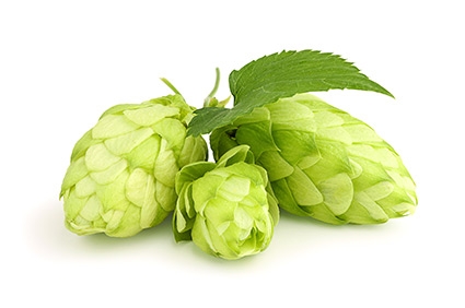 Titolo approfondimento